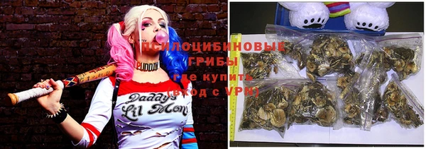 бутират Баксан
