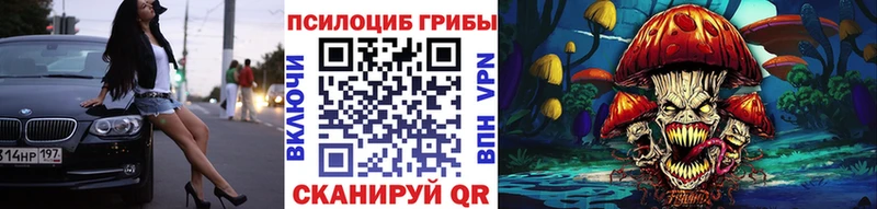 Галлюциногенные грибы Psilocybe  Купить  Жуковка 